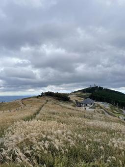 ススキの高原 秋,空,ススキの写真素材