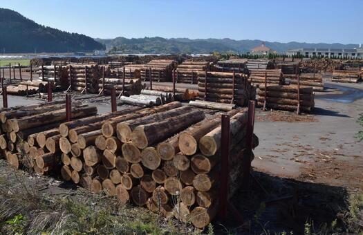 lumberyard, JPG lumberyard, JPG