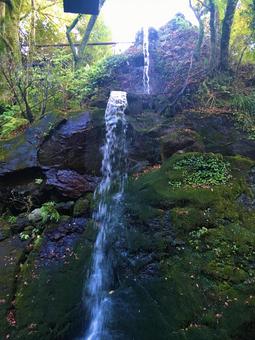 滝 滝の写真