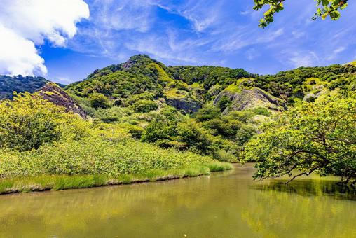 小笠原諸島・父島 中山峠ハイキング 小笠原諸島・父島 中山峠ハイキング の写真