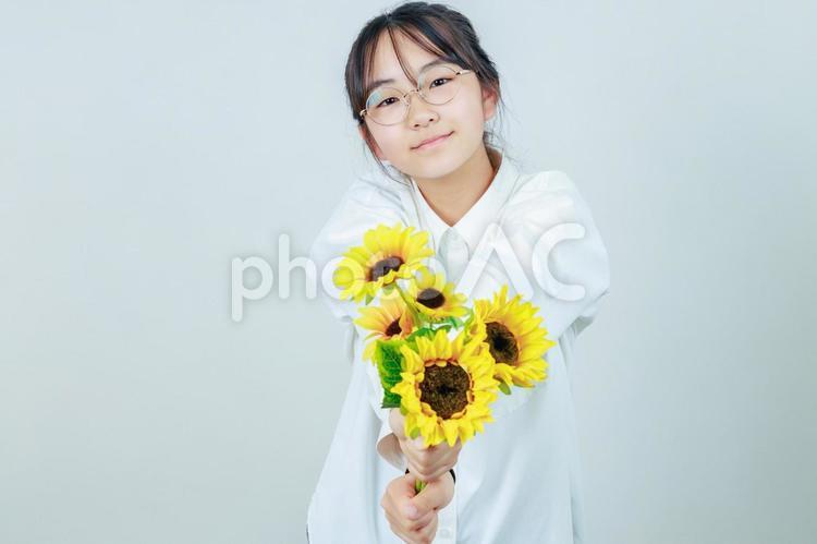 向日葵を持った笑顔の眼鏡女子｜日の丸構図 女性,女の子,カメラ目線の写真素材
