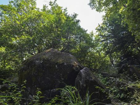 鍋倉渓に佇む巨石の存在感 鍋倉渓,巨石,岩の写真素材