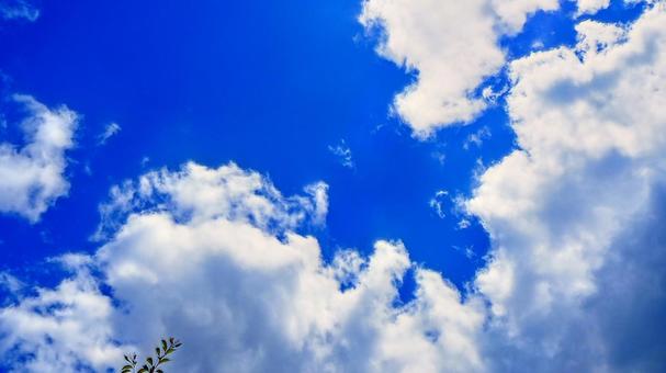 Photo, summer, blue sky, sunny, 