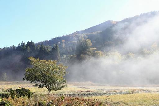 農村の朝の写真