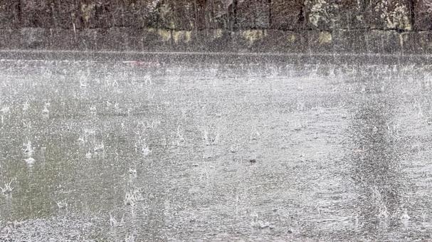激しい雨 激しい雨の写真