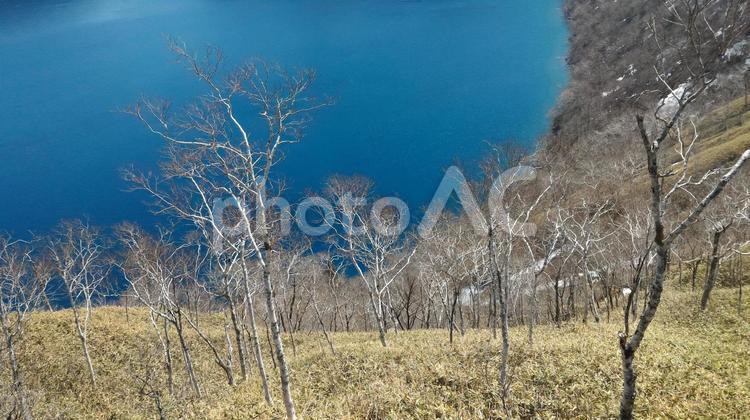 摩周湖と木々 風景,自然,湖の写真素材