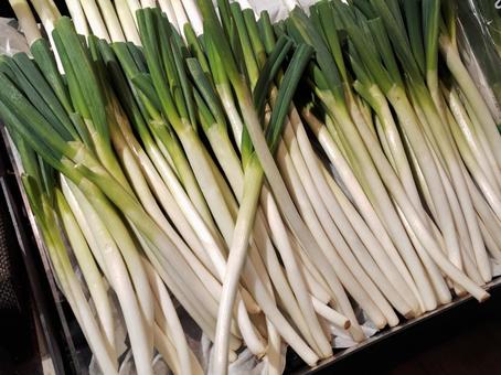 八百屋さんのネギ 八百屋さんのネギ ねぎ,八百屋,野菜の写真素材