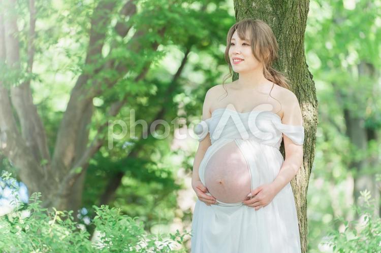 マタニティフォトの撮影をするアジア人妊婦 妊婦,笑顔,プレママの写真素材