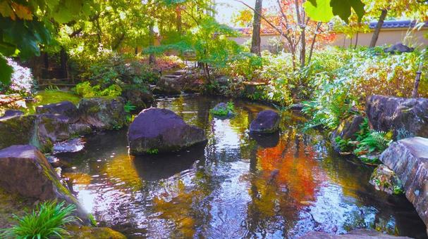 姫路城 好古園20 秋,日本庭園,紅葉の写真素材