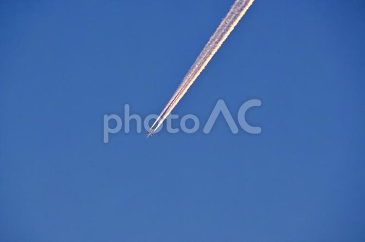  岡崎公園上空を飛行するジェット飛行機 岡崎城,郭,愛知県の写真素材