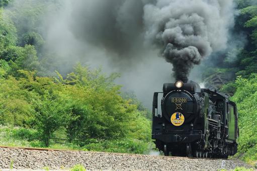SLやまぐち号 D51 SLやまぐち号 D51の写真