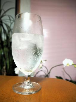 レモンサワー レモンサワー,飲み物,グラスの写真素材