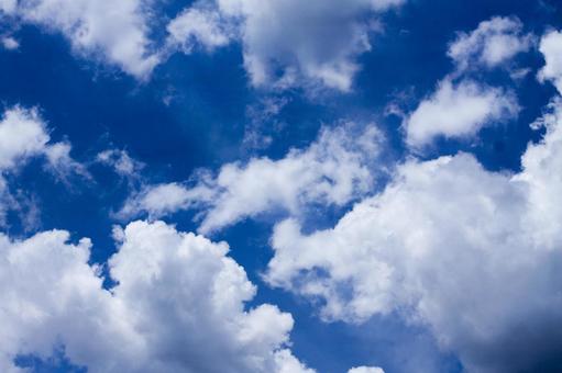 雲133 雲133の写真