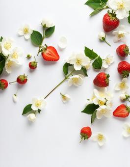 白い花と苺の写真