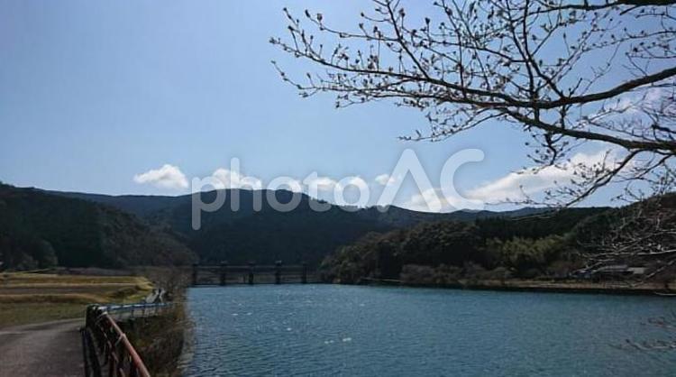 四万十川の春の風景 四万十川,春,川の写真素材