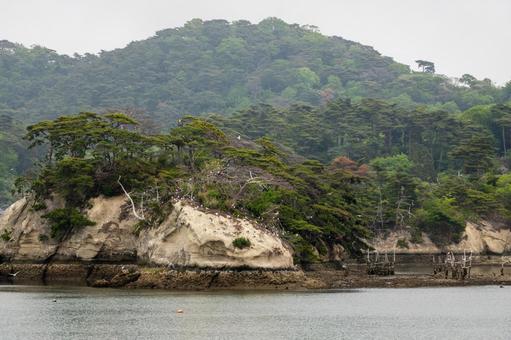 奥松島瀬戸浜⑴ 海,入り江,奥松島の写真素材