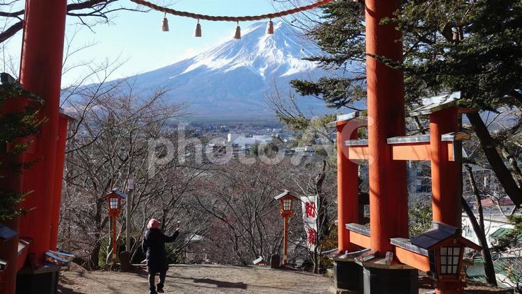 新倉山浅間神社　富士吉田 イメージ,富士吉田,富士山の写真素材