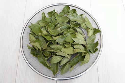 ドライハーブ　ローリエ　月桂樹の葉2 ローリエ,月桂樹の葉,ハーブの写真素材