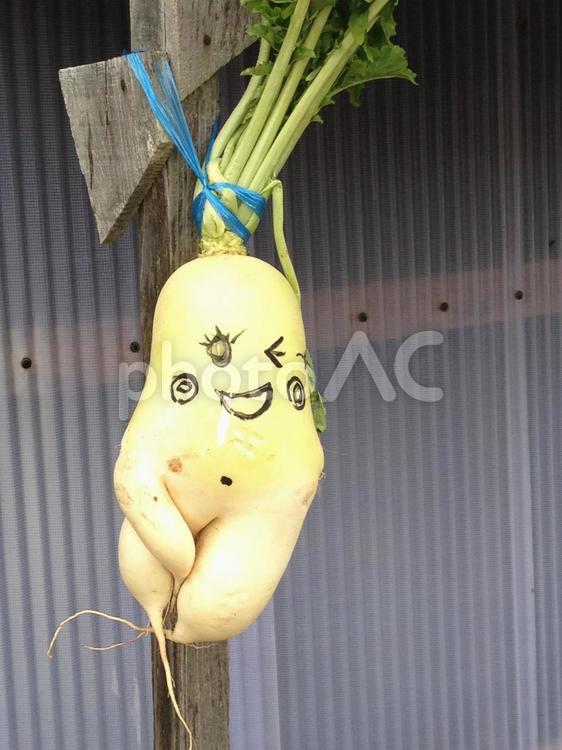 直売所のおちゃめな大根 大根,軒先,かわいいの写真素材