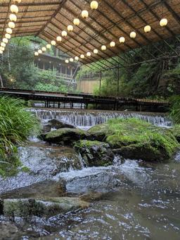 雨の川床 雨の川床の写真