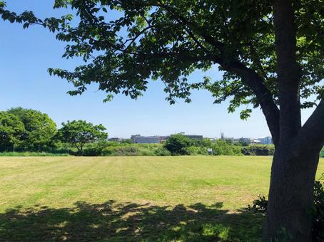 夏の木陰 夏の木陰 多摩川,木陰,河川敷の写真素材