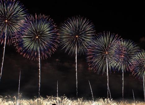 25年長岡まつり 花火 25年長岡まつり 花火の写真