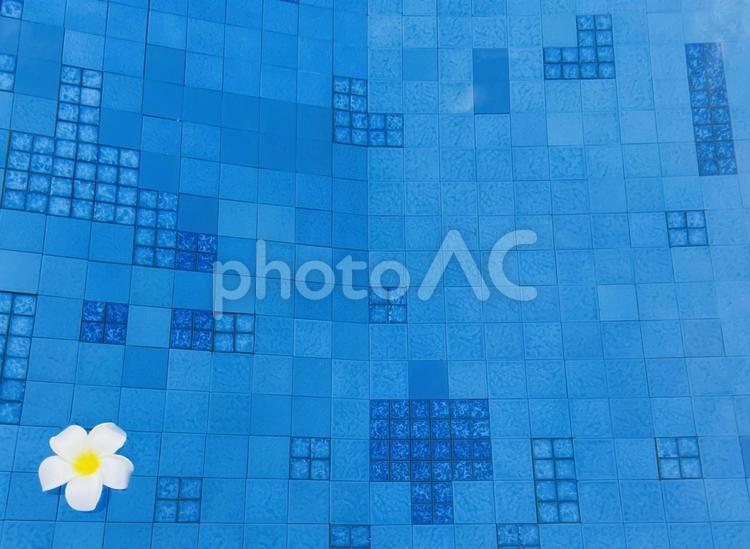 水に浮かぶプルメリア プルメリア,バリ島,バリの写真素材
