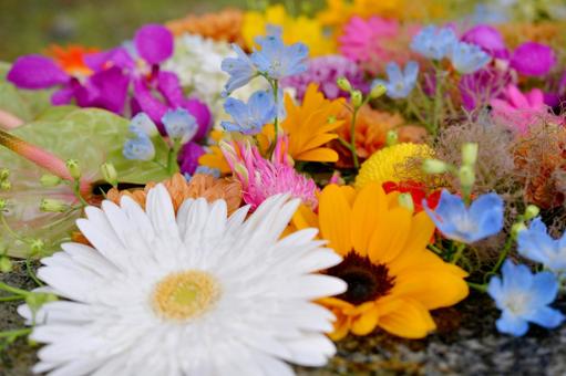花手水 花手水の写真