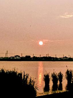 夕日 夕日の写真