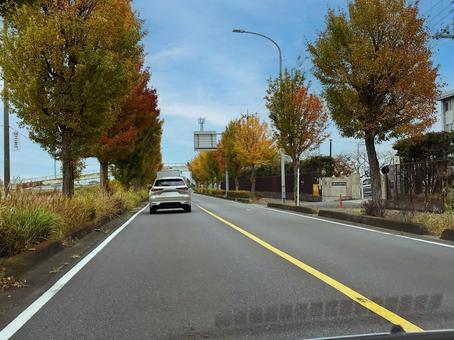 紅葉のはじまった道 道路,風景,自然の写真素材