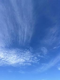 秋の空 秋の空の写真