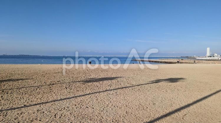 海岸沿い ヤシの影がうつる風景 海,空,海岸の写真素材
