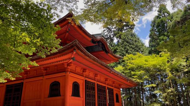 比叡山の朱色伽藍 比叡山の朱色伽藍 比叡山,京都,滋賀の写真素材