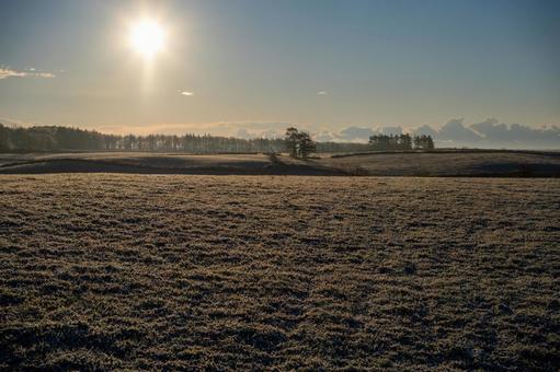 霜降る早朝の丘に金色に輝く日の出 丘,牧草地,霜の写真素材