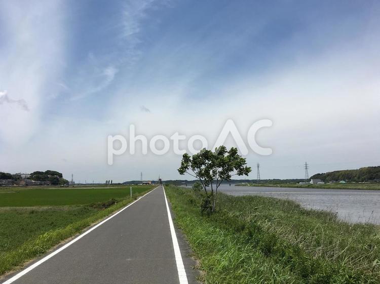 田んぼの一本道 サイクリングロード,一本道,川の写真素材
