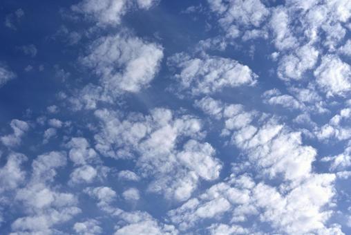 秋の雲 秋の雲の写真