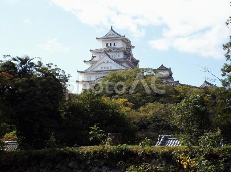【風景写真】姫路城の風景 姫路城,天守閣,木造の写真素材