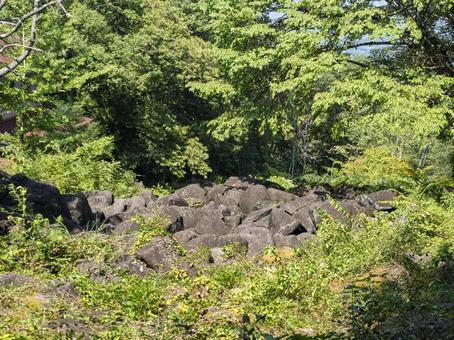 緑に包まれた巨石の風景 巨石,岩,鍋倉渓の写真素材
