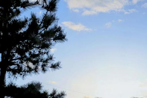 空と木の写真