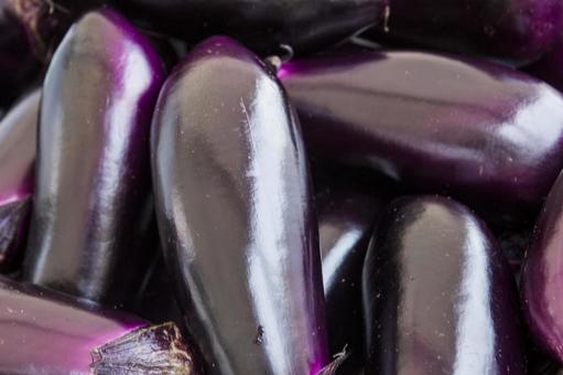 茄子1（田原市） 茄子,ナス,紫の写真素材