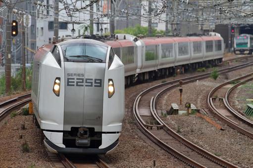 JR東日本、E259系、成田エクスプレス JR東日本、E259系、成田エクスプレス jr,jr東日本,e259系の写真素材