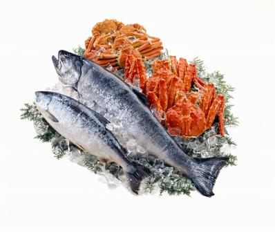 鮭と蟹(タラバ・ずわい・毛ガニ) 鮭と蟹(タラバ・ずわい・毛ガニ) 鮮魚集合,鮮魚,鮭の写真素材