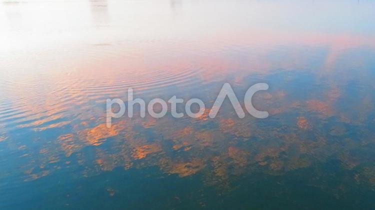４月上旬の池の朝焼け 背景,朝焼け,池の写真素材