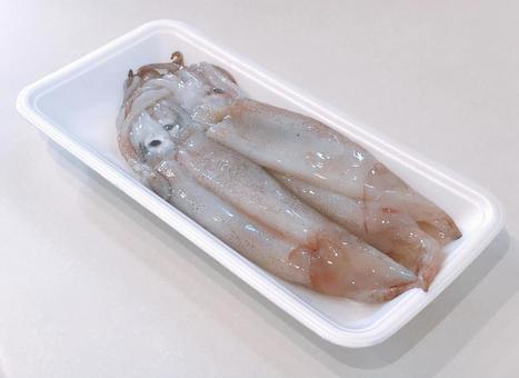 raw squid, JPG