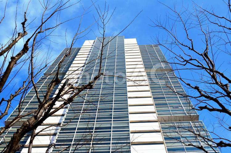 ビルと青空　都会と青空　快晴　晴れ イメージ,素材,大都会の写真素材