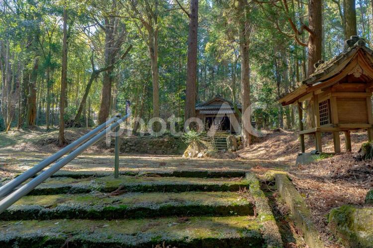 湧水町の箱崎八幡神社の風景 湧水町,箱崎八幡神社,鹿児島の写真素材