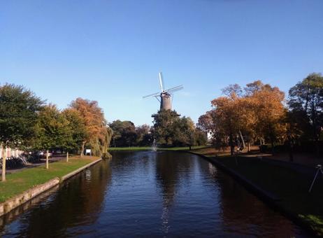 オランダ水路と風車 オランダ,ライデン,風車の写真素材