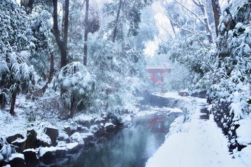 積雪の等々力渓谷② 積雪の等々力渓谷② 等々力,渓谷,ゴルフ橋の写真素材