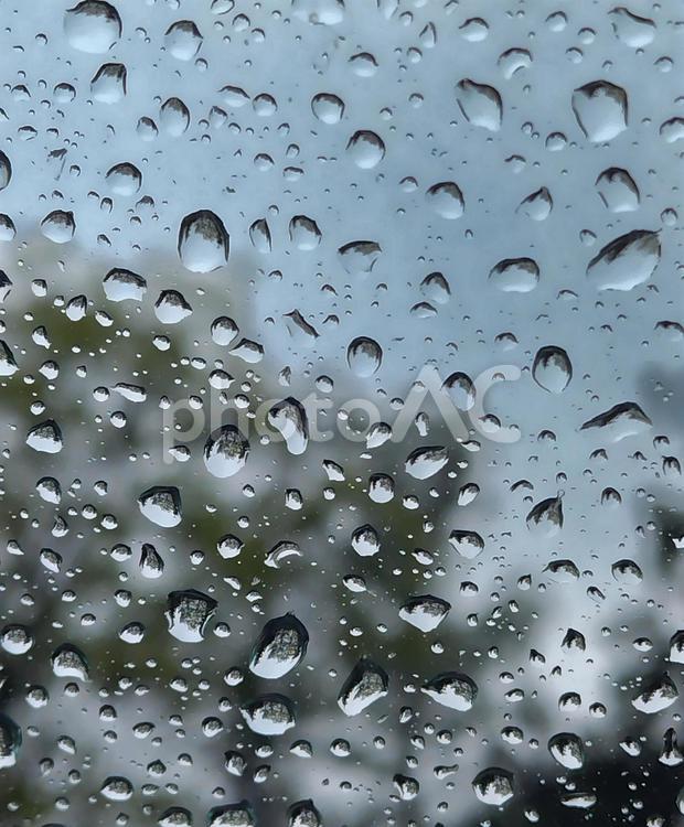 雨粒 雨,雨粒,梅雨の写真素材