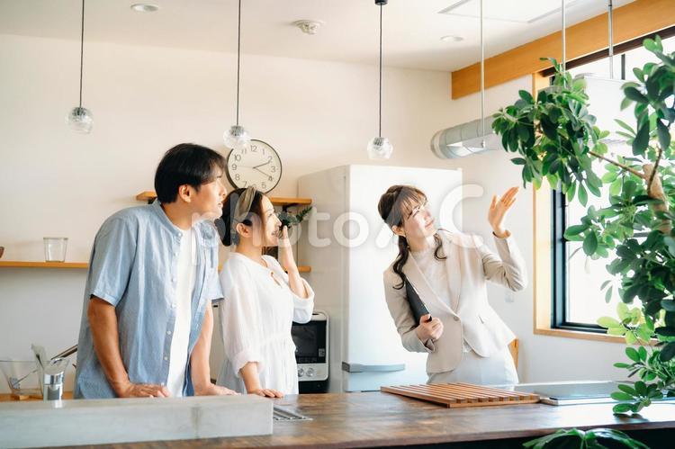 キッチンの設備を説明する女性（換気扇） 不動産,内見,内覧の写真素材
